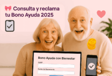 Bono Ayuda 2025: ¿Qué es, quién lo recibe y cómo cobrarlo?